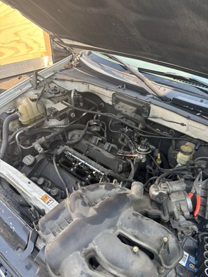 Tuneup getting ready for winter - We are doing a tuneup on a 2002 Ford escape getting ready for the cold long winter months. Call us or bring your car in before the nasty cold wet weather hits. Tuneup getting ready for winter - We are doing a tuneup on a 2002 Ford escape getting ready for the cold long winter months. Call us or bring your car in before the nasty cold wet weather hits.