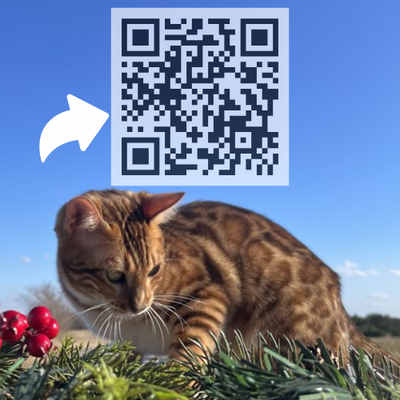Check out our TikTok! - Check out recent videos on our tik tok! Check out our TikTok! - Check out recent videos on our tik tok!