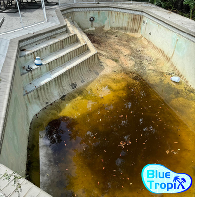 Spangler Pool Renovation - We enhance the elegance of the pool and turn it to a tropical paradise. The best team  beautify the pool. Our project manager /contractor Matthew Meacock has been in the business for 15 yrs and he is known in Florida to be one of the best to do Renovations. We make the best and quality pool renovation in a week time.