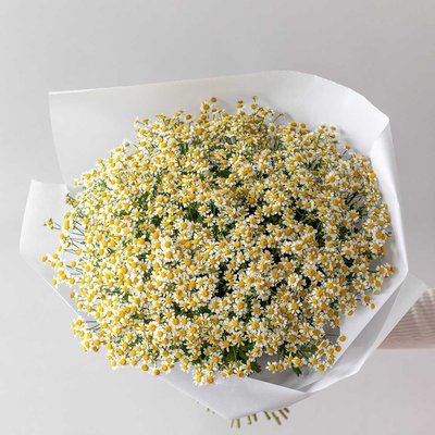 Mono Bouquets - Mono Bouquets
Standard Delivery Fee for distance up to 5 miles - $10 For distance over 5 miles $10 plus $1.00 per each additional miles. For orders over $125.00 delivery within 5 miles is FREE. For distance over 5 miles $10 plus $1.00 per each additional miles. For orders over $250.00 delivery within 10 miles is FREE. For distance over 10 miles $10 plus $1.00 per each additional miles.