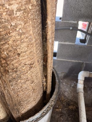 DE filter maintenance. - Issue with filtering. Had not been cleaned in 2 years. Disassembled, cleaned and added new filters. DE filter maintenance. - Issue with filtering. Had not been cleaned in 2 years. Disassembled, cleaned and added new filters.