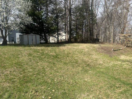 Lawn care /weeds removal - I rake the entire yard pull weeds in the front bushes Lawn care /weeds removal - I rake the entire yard pull weeds in the front bushes