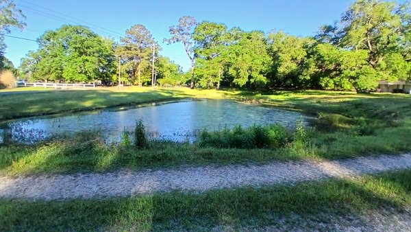 Cleaning up around a pond - Our client asked us to clean up around his pond. We also cleared brush and leaves from under his trees in the front yard. Before and after pictures. Cleaning up around a pond - Our client asked us to clean up around his pond. We also cleared brush and leaves from under his trees in the front yard. Before and after pictures.