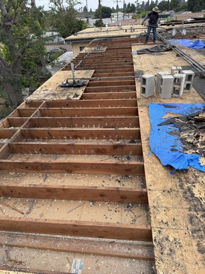 New flat roof (Polyfresco) - Commercial building – roof replacement project.
This was a very old flat roof, over 50 years old. Many of the existing wood components were rotten, so we had to remove the damaged areas and replace a large amount of wood before installing the new roofing system. The building has over 100 units, and the old roof had ongoing leak issues. With the new roof system installed properly, the residents will now have peace of mind and protection from leaks for many years. New flat roof (Polyfresco) - Commercial building – roof replacement project.
This was a very old flat roof, over 50 years old. Many of the existing wood components were rotten, so we had to remove the damaged areas and replace a large amount of wood before installing the new roofing system. The building has over 100 units, and the old roof had ongoing leak issues. With the new roof system installed properly, the residents will now have peace of mind and protection from leaks for many years.