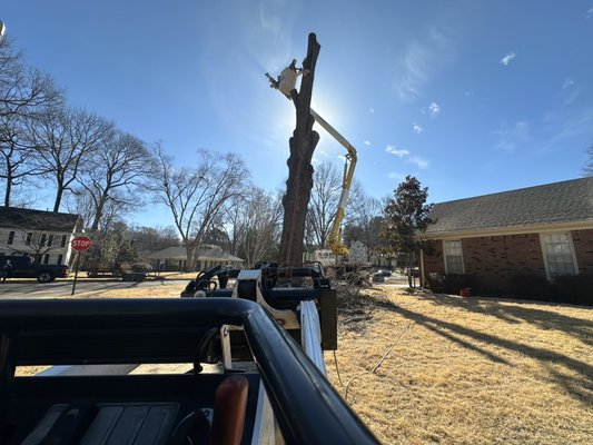 Tree Removal - We do tree removal for low price
Don’t pay To much for tree removal Tree Removal - We do tree removal for low price
Don’t pay To much for tree removal