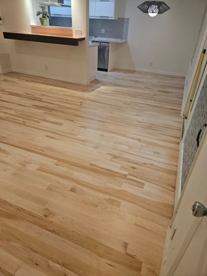 Wood Flooring Refinishing in Santa Monica - Taking on this refinishing project in late December, we faced floors heavily damaged by deep scratches from the previous tenants' dogs. Our mission was to completely erase the surface wear and modernize the space with a fresh, durable matte coat. We successfully removed every scratch and delivered a flawless result in just three business days, proving that even severe pet damage can be fully restored with the right expertise. If your floors need a fresh start, use the Request a Quote button on our page to get started with a free estimate today Wood Flooring Refinishing in Santa Monica - Taking on this refinishing project in late December, we faced floors heavily damaged by deep scratches from the previous tenants' dogs. Our mission was to completely erase the surface wear and modernize the space with a fresh, durable matte coat. We successfully removed every scratch and delivered a flawless result in just three business days, proving that even severe pet damage can be fully restored with the right expertise. If your floors need a fresh start, use the Request a Quote button on our page to get started with a free estimate today
