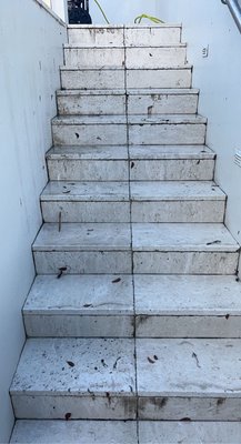 Pressure-Washing Before & After! - Before & After Photos of Multiple Pressure-Washing Projects! Pressure-Washing Before & After! - Before & After Photos of Multiple Pressure-Washing Projects!