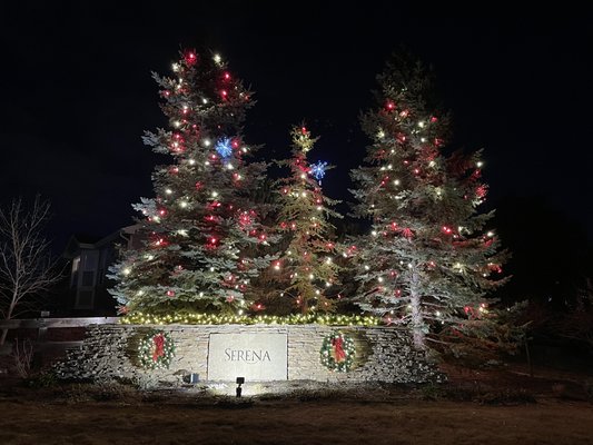 Holiday Lights - Here are a few photos captured so far this season. Holiday Lights - Here are a few photos captured so far this season.