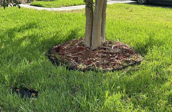 New Homeowner Lawn Care - We were cutting another lawn in the neighborhood and the new homeowners needed our help. The team jumped on the lawn quickly during a brutal rain storm and it ended with 100% customer satisfaction!! Now they receive lawn care provided by us every two weeks. Thank you to the homeowners for trusting us to take care of their lawn. New Homeowner Lawn Care - We were cutting another lawn in the neighborhood and the new homeowners needed our help. The team jumped on the lawn quickly during a brutal rain storm and it ended with 100% customer satisfaction!! Now they receive lawn care provided by us every two weeks. Thank you to the homeowners for trusting us to take care of their lawn.