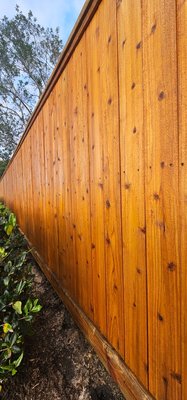 Fence pressure wash and stain - After Pressure washing the fence to remove dirt, grime, and mildew from a wooden fence, restoring its natural beauty.
Before applying a stain, it is crucial to pressure wash the fence to remove built-up dirt, mildew, and oxidized wood fibers, which prepares the surface for proper stain absorption. The cleaning process saturates the wood. Applying a stain before the moisture content returns to an acceptable level will compromise the entire project.
The drying period after pressure washing is 48 to 72 hours, though this can vary depending on environmental conditions. Fence pressure wash and stain - After Pressure washing the fence to remove dirt, grime, and mildew from a wooden fence, restoring its natural beauty.
Before applying a stain, it is crucial to pressure wash the fence to remove built-up dirt, mildew, and oxidized wood fibers, which prepares the surface for proper stain absorption. The cleaning process saturates the wood. Applying a stain before the moisture content returns to an acceptable level will compromise the entire project.
The drying period after pressure washing is 48 to 72 hours, though this can vary depending on environmental conditions.