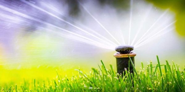 sprinkler system - Discover the beauty of nature with Ayala Landscapes Construction LLC
Dreaming of a picturesque outdoor sanctuary that reflects your unique style? Look no further than Ayala Landscapes Construction LLC! We are a premier landscaping company dedicated to transforming ordinary spaces into extraordinary paradises. With our experience and passion for nature, we bring your vision to life, ensuring every detail is meticulously crafted. From lush gardens and tranquil water features to cozy patios and stunning landscaping, we tailor our services to your preferences and exceed your expectations.
Trust Ayala Landscapes Construction LLC to create an outdoor oasis your neighborhood will envy. Contact us today for a consultation and let's embark on a journey of eternal beauty together!
YOU NEED THE BEST SERVICE CALL US, SEND A MESSAGE FOR YOUR ESTIMATE AT 253-754-5370
Email: ayala94landscaping@gmail.com
http://ayalalandscapes.com/ sprinkler system - Discover the beauty of nature with Ayala Landscapes Construction LLC
Dreaming of a picturesque outdoor sanctuary that reflects your unique style? Look no further than Ayala Landscapes Construction LLC! We are a premier landscaping company dedicated to transforming ordinary spaces into extraordinary paradises. With our experience and passion for nature, we bring your vision to life, ensuring every detail is meticulously crafted. From lush gardens and tranquil water features to cozy patios and stunning landscaping, we tailor our services to your preferences and exceed your expectations.
Trust Ayala Landscapes Construction LLC to create an outdoor oasis your neighborhood will envy. Contact us today for a consultation and let's embark on a journey of eternal beauty together!
YOU NEED THE BEST SERVICE CALL US, SEND A MESSAGE FOR YOUR ESTIMATE AT 253-754-5370
Email: ayala94landscaping@gmail.com
http://ayalalandscapes.com/