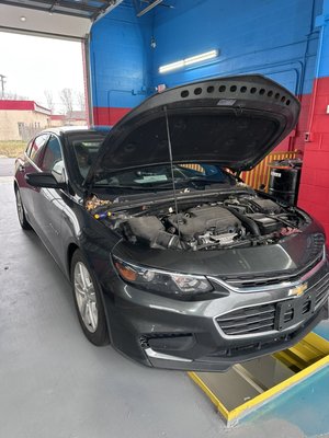 Oil chnage service on all cars and trucks - We specialise oil changed on all cars  Oil chnage service on all cars and trucks - We specialise oil changed on all cars 