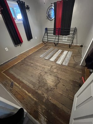 Vinyl plank flooring job - This was a upgraded vinyl plank floor job that Sturchio‘s residential construction completed. Removed all the old flooring old trim installed new vinyl plank flooring with new trim.