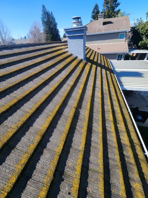 Full service soft washing - Roof cleaning is a skill. You have an option of a soft wash service or a surface cleaning which the results ate right away. When a roof has never been cleaned then a soft wash service is not enough. I have the equipment for the job. Full service soft washing - Roof cleaning is a skill. You have an option of a soft wash service or a surface cleaning which the results ate right away. When a roof has never been cleaned then a soft wash service is not enough. I have the equipment for the job.