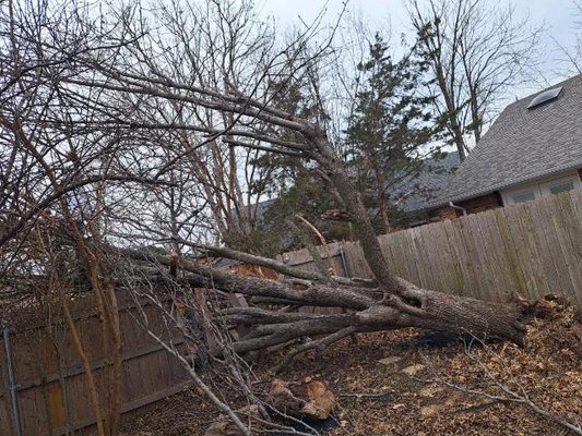 Storm Damage - Storm damage clean ups Storm Damage - Storm damage clean ups