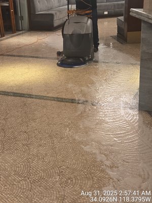 deep floor cleaning - A reliable team committed to excellence. We understand the importance of maintaining a pristine environment for your employees and customers. deep floor cleaning - A reliable team committed to excellence. We understand the importance of maintaining a pristine environment for your employees and customers.