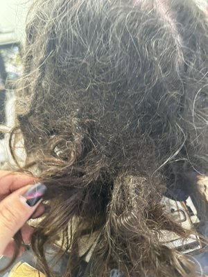 Dreadlock Reconstruction! - I meet this awesome gentleman like 6 months ago. He needed some help with a loc reconstruction. As you can see his locs become matted while he kept his hair styled too long in braids. 

His hair is maturing perfectly and he looks amazing! 💯👌💛🤪

For more information please call! 3058790695 

#dreadlockmaintenance #miamilocs #miami #dreadhead #dreadrepair #crotchetlocs #unekpros #locjourney #loclivin #miamidreads #miamidreadstylist #growinghands #lovewhatyoudo #miamiloctician #browardlocs #browardloctician #northmiami #northmiamibeach #aventura #aventura #hialeah #miamilakes #skylake #miamilife #dreadlockartist