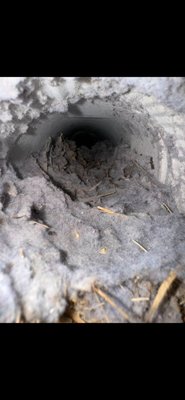 Dryer vent deep cleaning - Dryer vent cleaning - unclogging - repair
We are the experts with dryer vents! Dryer vent deep cleaning - Dryer vent cleaning - unclogging - repair
We are the experts with dryer vents!