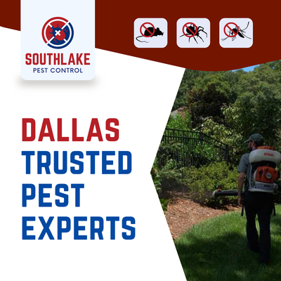 Your Trusted Dallas Exterminators! - A couple of photos from a mole extermination job we did in Irving.