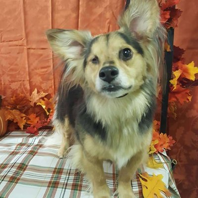 Halloween 2020 Photo Contest - During the month of October and November 2020 we host a photo contest on Instagram with customers in our store. We would love to do another contest like this again in the near future.