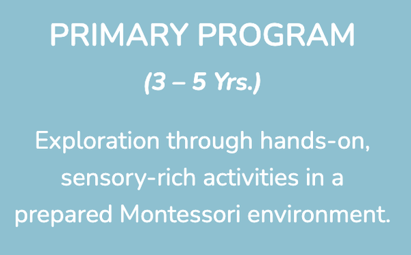 Primary Program - Between the ages of three and six, children have what Dr. Montessori called “the absorbant mind,” possessing near genius capacity to soak up information from their environments.

Children also pass through periods of special sensitivity, when they are attracted to certain types of environmental stimuli that help them to acquire specific knowledge or skills. Our trained Montessori teachers are alert to these periods, when learning potential peaks.

Our authentic Montessori preschool program focuses on hands-on, experiential learning.

The children thrive in our “prepared environment” with specially designed Montessori materials. By exploring, experimenting, manipulating, and discovering, the children develop analytical and problem-solving skills.

As well, making choices and accomplishing self-assigned tasks helps the children develop concentration, self-discipline, and confidence. Our preschoolers love working for its own sake; they don’t need teachers’ approval or gold stars.