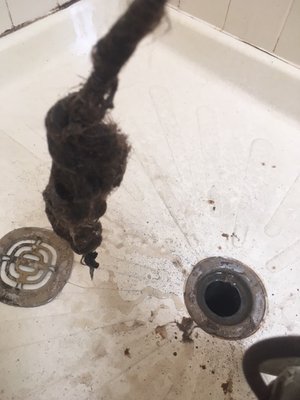 Shower Drain Clog Sewell NJ - Job Description: Customers shower would not drain at all. It started off slow and gradually got to the point that it wouldn't drain at all. You are looking at a ball of hair build up on the end of the sewer cable. After the hair was removed, the drain went down like a champ! Shower Drain Clog Sewell NJ - Job Description: Customers shower would not drain at all. It started off slow and gradually got to the point that it wouldn't drain at all. You are looking at a ball of hair build up on the end of the sewer cable. After the hair was removed, the drain went down like a champ!