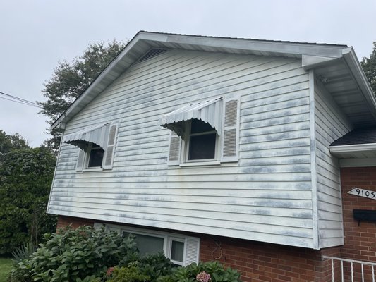 Exterior painting - This project required paint the outside of a house and the garage ceiling. Exterior painting - This project required paint the outside of a house and the garage ceiling.