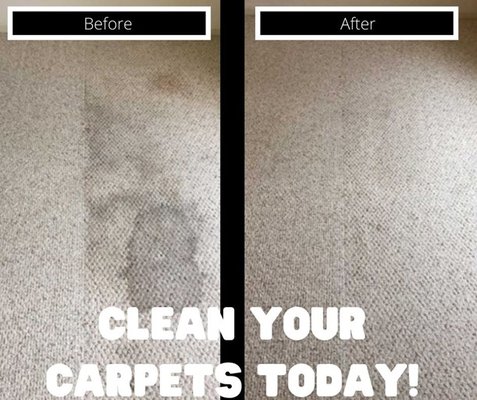 Carpet Cleaning - Looking for safe, professional carpet and upholstery cleaning? Request a free quote from Chem-Dry today! Our eco-friendly process dries quickly and removes tough stains, allergens, and odors. Tell us about your space, and we’ll provide a customized estimate—no obligation. Carpet Cleaning - Looking for safe, professional carpet and upholstery cleaning? Request a free quote from Chem-Dry today! Our eco-friendly process dries quickly and removes tough stains, allergens, and odors. Tell us about your space, and we’ll provide a customized estimate—no obligation.