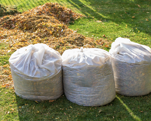 Yard Waste Removal - Choose All Out Junk Removal and review our no-cost quote tailored to your needs. Watch us load everything into our truck and wave as we haul it away. Mark that big chore off your list and enjoy your outdoor space!
We take tree trimmings, broken branches, garden waste, and other plant debris! Yard Waste Removal - Choose All Out Junk Removal and review our no-cost quote tailored to your needs. Watch us load everything into our truck and wave as we haul it away. Mark that big chore off your list and enjoy your outdoor space!
We take tree trimmings, broken branches, garden waste, and other plant debris!