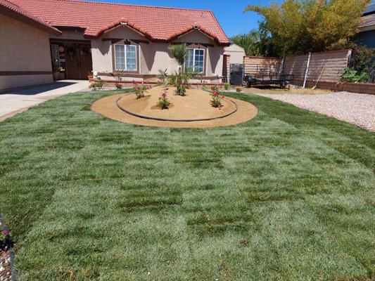 Front Yard - Project - Me and my team removed sod, placed sprinklers, drip line, grass, rocks, plants,and even more to transform a normal yard into a fresh new look. Front Yard - Project - Me and my team removed sod, placed sprinklers, drip line, grass, rocks, plants,and even more to transform a normal yard into a fresh new look.
