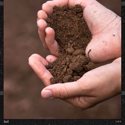 Top Soil - Hanford Lome Topsoil
Made from RIVER BOTTOM SANDY LOME – Our Topsoil originated from Hanford Lome. The Hanford Lome is found along the Consumnes River.

Our topsoil receives it’s growing status by adding compost, peat moss, mushroom compost, nutrients and nitrogen measuring phosphates and hot ash which are needed in Topsoil creating a blended mix to have growth in your plants.