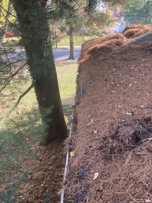 Gutter Cleaning - This roof when we arrived was really dirty with leafs and debris all over the house. We take our time to leave a nice clean roof.