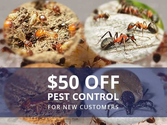 Pest Services - At Reliable Termite Solutions we know what it takes to protect your Turlock home or business from nasty pests. We are local, family owned experts on Central Valley pests that know how to best exterminate pests such as ants, cockroaches, spiders, bed bugs, or other nasty critters in your home. Pest Services - At Reliable Termite Solutions we know what it takes to protect your Turlock home or business from nasty pests. We are local, family owned experts on Central Valley pests that know how to best exterminate pests such as ants, cockroaches, spiders, bed bugs, or other nasty critters in your home.