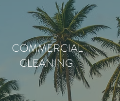 Commercial Cleaning - At Cleanercession, we understand that a clean workspace fosters productivity and well-being. We deliver meticulous cleaning services tailored to your business needs.
Reception & Common Areas: Cleaning of front doors, trash removal, disinfecting surfaces, dusting, and floor care.
Offices & Cubicles: Dusting shelves, emptying trash, spot cleaning walls, and ensuring a tidy workspace.
Kitchens & Break Rooms: Disinfecting countertops, tidying spaces, cleaning appliances, and mopping floors.
Restrooms: Sanitizing sinks, toilets, replenishing supplies, and ensuring a hygienic environment.
We are flexible and willing to adjust our checklists within reason to accommodate the needs of your work environment.
Why Choose Cleanercession?
Experienced Professionals: Our team is trained to handle diverse commercial spaces with care and precision.
Eco-Friendly Commitment: We use environmentally responsible products, ensuring safety for your staff and clients.
Community Focused: Beyond cleaning, we believe in giving back and supporting local initiatives. Commercial Cleaning - At Cleanercession, we understand that a clean workspace fosters productivity and well-being. We deliver meticulous cleaning services tailored to your business needs.
Reception & Common Areas: Cleaning of front doors, trash removal, disinfecting surfaces, dusting, and floor care.
Offices & Cubicles: Dusting shelves, emptying trash, spot cleaning walls, and ensuring a tidy workspace.
Kitchens & Break Rooms: Disinfecting countertops, tidying spaces, cleaning appliances, and mopping floors.
Restrooms: Sanitizing sinks, toilets, replenishing supplies, and ensuring a hygienic environment.
We are flexible and willing to adjust our checklists within reason to accommodate the needs of your work environment.
Why Choose Cleanercession?
Experienced Professionals: Our team is trained to handle diverse commercial spaces with care and precision.
Eco-Friendly Commitment: We use environmentally responsible products, ensuring safety for your staff and clients.
Community Focused: Beyond cleaning, we believe in giving back and supporting local initiatives.