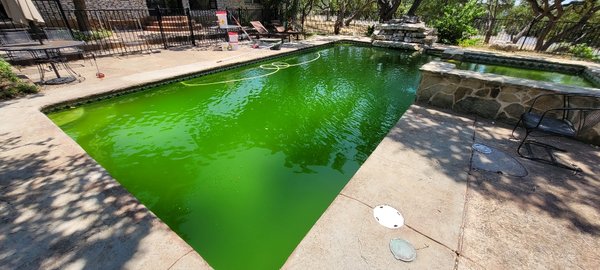 Algae Turnaround Service - Typically when algae is involved, consecutive cleaning visits are a must – we schedule these visits for the early part of the week so we can give your pool the attention and TLC it needs without having to worry about a 2 day lapse over the weekend.
This process can take 2-5 days, depending on the severity of the situation. We require current pictures of the pool and its equipment before we can begin the process - this gives us a good idea of the state of things and helps to properly prepare.
So, ready to get your pool back to beautiful? Algae Turnaround Service - Typically when algae is involved, consecutive cleaning visits are a must – we schedule these visits for the early part of the week so we can give your pool the attention and TLC it needs without having to worry about a 2 day lapse over the weekend.
This process can take 2-5 days, depending on the severity of the situation. We require current pictures of the pool and its equipment before we can begin the process - this gives us a good idea of the state of things and helps to properly prepare.
So, ready to get your pool back to beautiful?