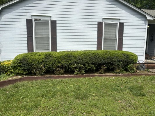 Before and After - Meet Mountain Man — a dedicated outdoor professional with a passion for transforming overgrown or neglected yards into beautiful, well-maintained landscapes. With years of hands-on experience and a strong work ethic, Mountain Man takes pride in every project, big or small. His latest portfolio features an impressive lawn transformation, showcasing striking before-and-after photos that highlight his attention to detail, skill, and commitment to quality. Whether it's routine lawn care, cleanups, or complete yard makeovers, Mountain Man delivers results that speak for themselves. Reliable, hardworking, and always ready to take on the next challenge — that's the Mountain Man difference. Before and After - Meet Mountain Man — a dedicated outdoor professional with a passion for transforming overgrown or neglected yards into beautiful, well-maintained landscapes. With years of hands-on experience and a strong work ethic, Mountain Man takes pride in every project, big or small. His latest portfolio features an impressive lawn transformation, showcasing striking before-and-after photos that highlight his attention to detail, skill, and commitment to quality. Whether it's routine lawn care, cleanups, or complete yard makeovers, Mountain Man delivers results that speak for themselves. Reliable, hardworking, and always ready to take on the next challenge — that's the Mountain Man difference.