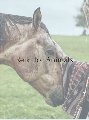 Reiki for Animals - As pet owners, we all want our furry, feathered, or scaled companions to live happy, healthy lives. Animal Reiki is a gentle, complementary modality that supports this well-being by promoting deep relaxation and encouraging the body's natural healing processes.