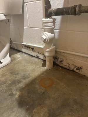 Mold Removal - Transformed this basement bathroom from a moldy mess to a clean, fresh, and welcoming space! At Villa My Home, we sweat the small stuff to make your home a place you love. Want to breathe new life into your space?