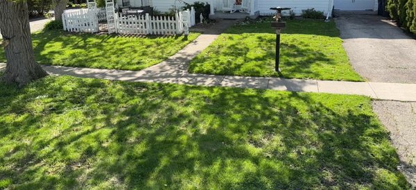 Yard Clean up - Customer wanted yard and garden area cleaned up and mowed. They also wanted leaves removed. Yard Clean up - Customer wanted yard and garden area cleaned up and mowed. They also wanted leaves removed.