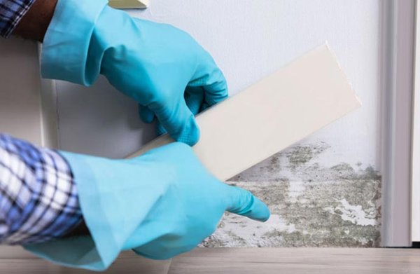 Mold Testing - Say goodbye to costly, time-consuming, and confusing mold testing. Our modern AI techniques pinpoint mold, offer clear solutions, and provide user-friendly reports with air quality images for an effortless experience.