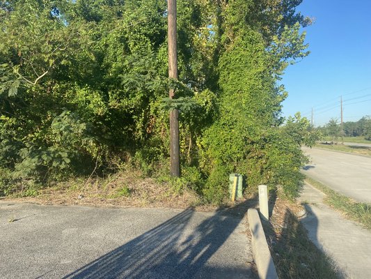 Commercial Property : Fence clearing - Customer requested to remove all debris from fence and haul off from property.