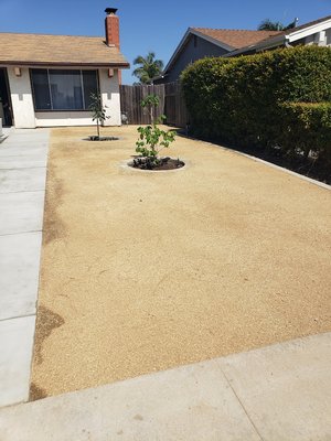 Circular Planters and concrete Spring 25 - New concrete poured for walkway and circular planters installed.