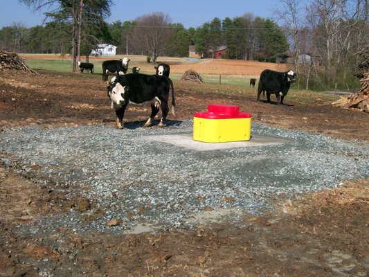 Cattle Waterer Installations - This portfolio contains photos of some of the cattle waterer installations we have done over the years! Call us today for more information! Cattle Waterer Installations - This portfolio contains photos of some of the cattle waterer installations we have done over the years! Call us today for more information!