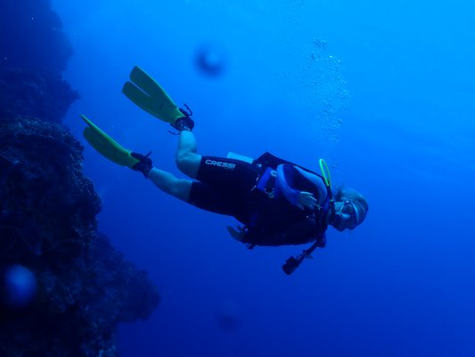 Cozumel Trip November 2020 - California Scuba Center hosts several trips every year, both domestic and international. Last year, we took our divers to explore the reefs of Cozumel, Mexico! Over the course of a week, our divers got to experience drift dives along the reef, wreck dives on the C-53 shipwreck, and night dives. This is just a little taste of our trip...  be sure to join us on the next one!