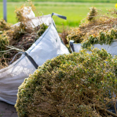 Shrub Removal - Do you have shrubs that are blocking your home? Give us a call today to get those removed! Shrub Removal - Do you have shrubs that are blocking your home? Give us a call today to get those removed!