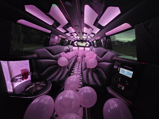 Party Transportation Services - Luxury transportation available for all kinds of parties in Middle TN

Weddings, Birthday, Bachelor/ette, concerts, and more.

We got you covered!
Ride in style, whether that is Lux XL SUV, Sprinter van, or Stretch Limousine.