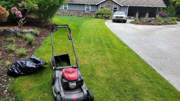 lawn maintenance rufe cleaning gutter cleaning - Discover the beauty of nature with Ayala Landscapes Construction LLC
Dreaming of a picturesque outdoor sanctuary that reflects your unique style? Look no further than Ayala Landscapes Construction LLC! We are a premier landscaping company dedicated to transforming ordinary spaces into extraordinary paradises. With our experience and passion for nature, we bring your vision to life, ensuring every detail is meticulously crafted. From lush gardens and tranquil water features to cozy patios and stunning landscaping, we tailor our services to your preferences and exceed your expectations.
Trust Ayala Landscapes Construction LLC to create an outdoor oasis your neighborhood will envy. Contact us today for a consultation and let's embark on a journey of eternal beauty together!
YOU NEED THE BEST SERVICE CALL US, SEND A MESSAGE FOR YOUR ESTIMATE AT 253-754-5370
Email: ayala94landscaping@gmail.com
http://ayalalandscapes.com/ lawn maintenance rufe cleaning gutter cleaning - Discover the beauty of nature with Ayala Landscapes Construction LLC
Dreaming of a picturesque outdoor sanctuary that reflects your unique style? Look no further than Ayala Landscapes Construction LLC! We are a premier landscaping company dedicated to transforming ordinary spaces into extraordinary paradises. With our experience and passion for nature, we bring your vision to life, ensuring every detail is meticulously crafted. From lush gardens and tranquil water features to cozy patios and stunning landscaping, we tailor our services to your preferences and exceed your expectations.
Trust Ayala Landscapes Construction LLC to create an outdoor oasis your neighborhood will envy. Contact us today for a consultation and let's embark on a journey of eternal beauty together!
YOU NEED THE BEST SERVICE CALL US, SEND A MESSAGE FOR YOUR ESTIMATE AT 253-754-5370
Email: ayala94landscaping@gmail.com
http://ayalalandscapes.com/