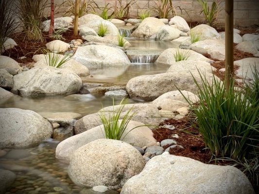 Award Winning Pondless Waterfall - 2024 Water Artisans of the Year - A 25-foot Pondless Water Feature in Corona, CA, equipped with an adjustable-flow submersible pump that continuously recirculates water. When turned off, the water disappears into a subterranean holding tank.
No need to worry about mosquitoes—since they seek stagnant water to lay eggs, the constant movement of this feature disrupts larval development, keeping them away.
Maintenance is easy, as the flowing water naturally pushes debris into a bed of pebbles, where it can be easily removed by hand, leaf blower, or vacuum. If algae appear, simply turn off the system and allow the rocks to dry, effectively eliminating the algae. Award Winning Pondless Waterfall - 2024 Water Artisans of the Year - A 25-foot Pondless Water Feature in Corona, CA, equipped with an adjustable-flow submersible pump that continuously recirculates water. When turned off, the water disappears into a subterranean holding tank.
No need to worry about mosquitoes—since they seek stagnant water to lay eggs, the constant movement of this feature disrupts larval development, keeping them away.
Maintenance is easy, as the flowing water naturally pushes debris into a bed of pebbles, where it can be easily removed by hand, leaf blower, or vacuum. If algae appear, simply turn off the system and allow the rocks to dry, effectively eliminating the algae.