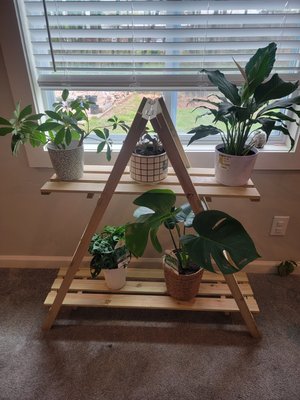 Artisan Indoor Garden/ House Plant Garden - House Plant Stand. cost of project for customer was $350. Stand is easy to move and all plants have drainage and pot saucers. All plants are easy to maintain as per customers request. Artisan Indoor Garden/ House Plant Garden - House Plant Stand. cost of project for customer was $350. Stand is easy to move and all plants have drainage and pot saucers. All plants are easy to maintain as per customers request.