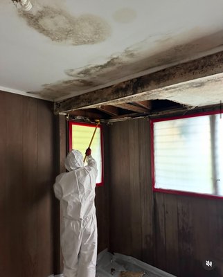 Mold remediation - Mold Remediation in Progress
We are currently conducting thorough mold remediation following the rigorous IICRC (Institute of Inspection, Cleaning, and Restoration Certification) standards. Our process includes:
Detailed Assessment: Identifying the extent of mold contamination and assessing affected areas.
Containment: Establishing containment areas to prevent cross-contamination and protect unaffected parts of the property.
Removal and Cleanup: Safely removing contaminated materials and thoroughly cleaning all surfaces.
Dehumidification and Drying: Utilizing advanced equipment to dry affected areas and reduce moisture levels.
Inspection and Verification: Conducting post-remediation inspections to ensure the area is mold-free and safe.
Our commitment to these standards ensures a comprehensive and effective mold remediation, restoring your property to a healthy and safe condition. Mold remediation - Mold Remediation in Progress
We are currently conducting thorough mold remediation following the rigorous IICRC (Institute of Inspection, Cleaning, and Restoration Certification) standards. Our process includes:
Detailed Assessment: Identifying the extent of mold contamination and assessing affected areas.
Containment: Establishing containment areas to prevent cross-contamination and protect unaffected parts of the property.
Removal and Cleanup: Safely removing contaminated materials and thoroughly cleaning all surfaces.
Dehumidification and Drying: Utilizing advanced equipment to dry affected areas and reduce moisture levels.
Inspection and Verification: Conducting post-remediation inspections to ensure the area is mold-free and safe.
Our commitment to these standards ensures a comprehensive and effective mold remediation, restoring your property to a healthy and safe condition.